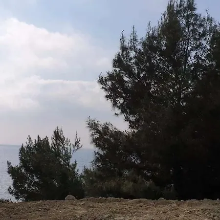 Betina بيت للعطل